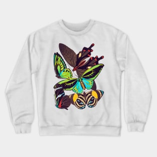 Butterflies Watercolor #1 Crewneck Sweatshirt